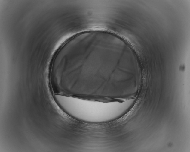 X0000099501422200806121405