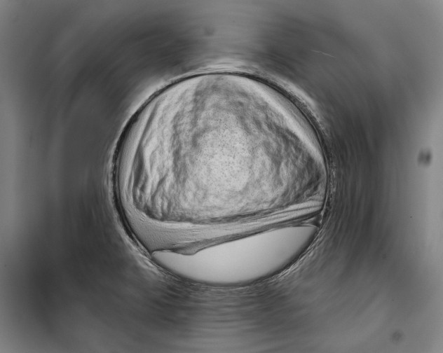 X0000099501423200806121405