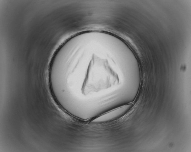 X0000099501424200806121405