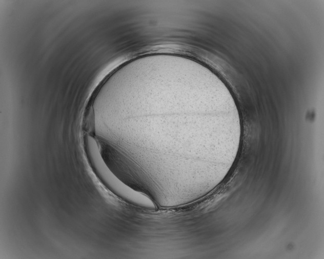 X0000099501426200806121405