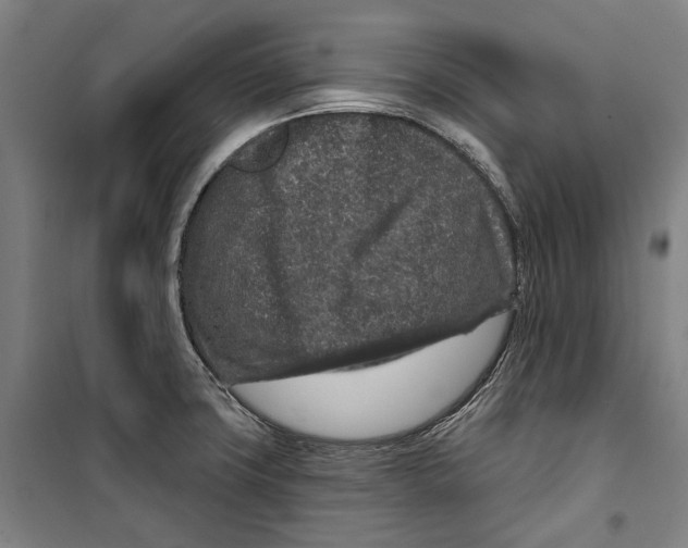 X0000099501427200806121405