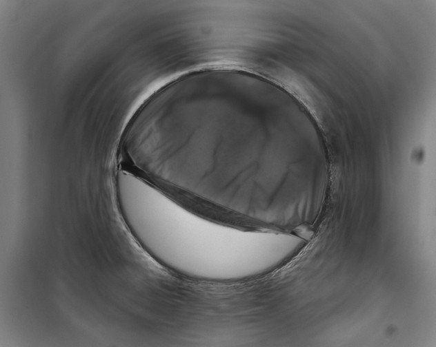 X0000099501428200806121405