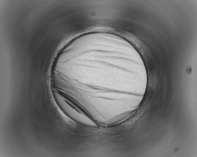 X0000099501430200806121405