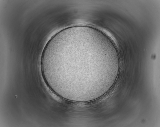 X0000099501431200806121405