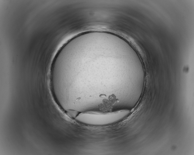 X0000099501432200806121405