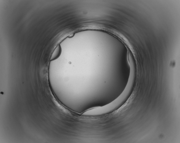 X0000099501433200806121405