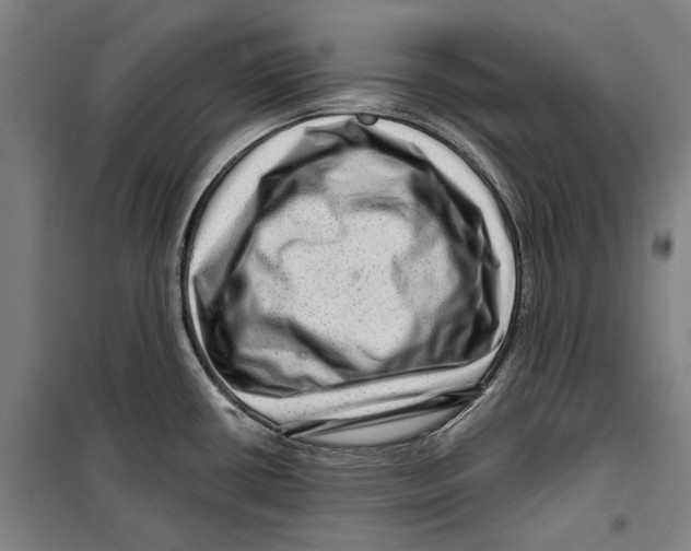 X0000099501434200806121405