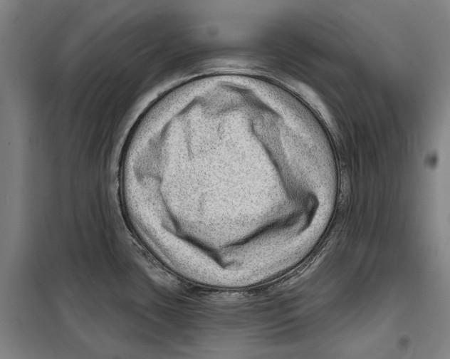 X0000099501435200806121405