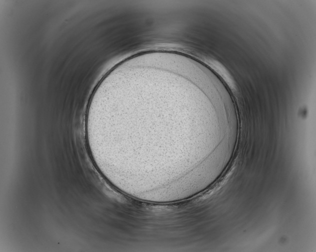 X0000099501436200806121405