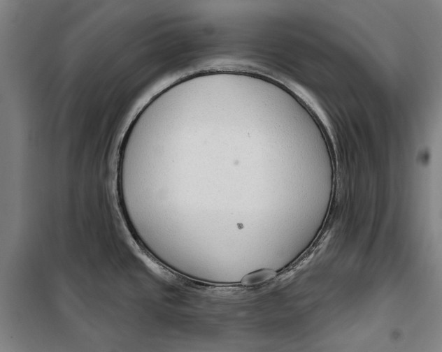 X0000099501437200806121405