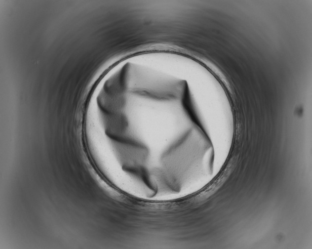 X0000099501438200806121405