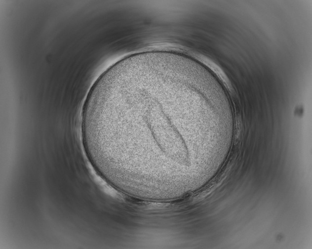 X0000099501439200806121405