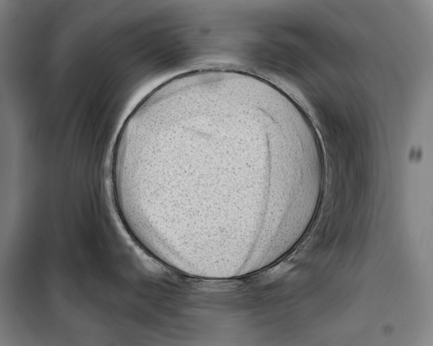 X0000099501440200806121405