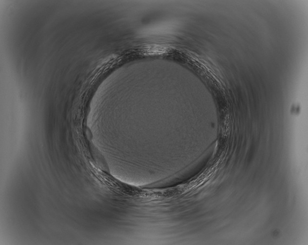 X0000099501441200806121404