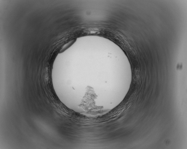 X0000099501442200806121404