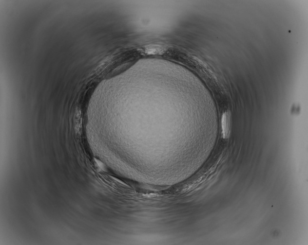 X0000099501443200806121404