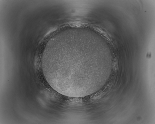 X0000099501446200806121404