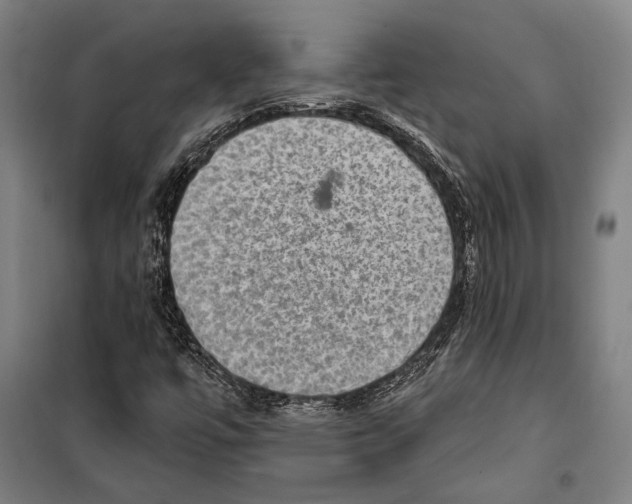 X0000099501447200806121404