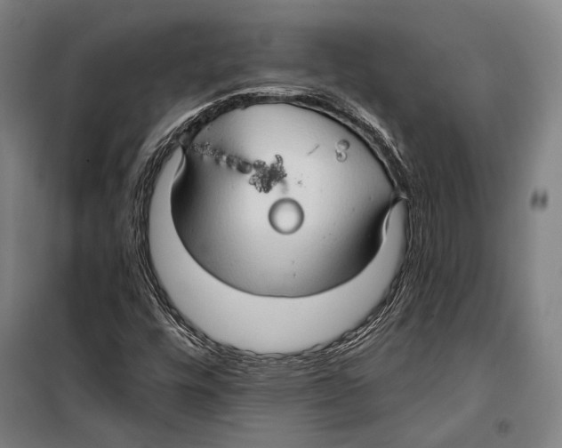 X0000099501448200806121404