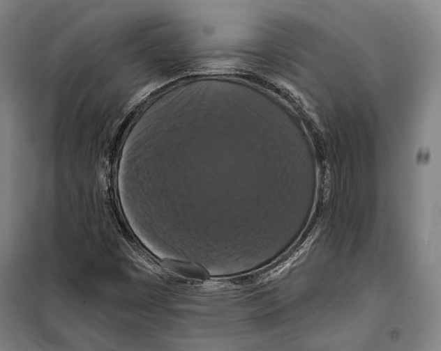 X0000099501449200806121404