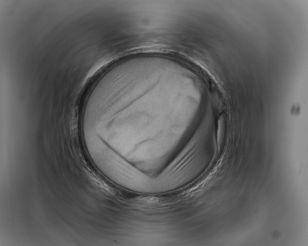 X0000099501450200806121404