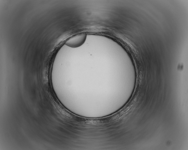 X0000099501451200806121404