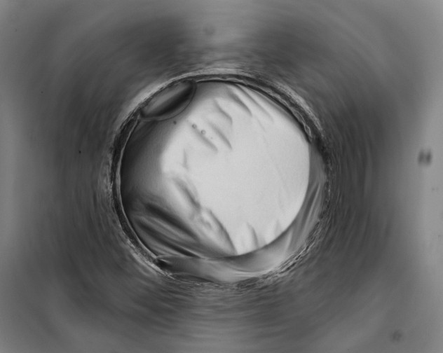 X0000099501452200806121404