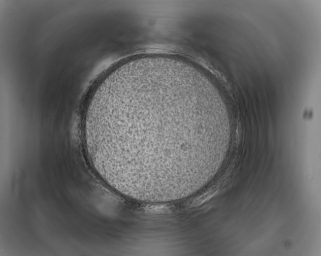 X0000099501454200806121404