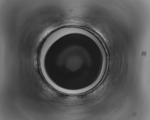 X0000099501455200806121404