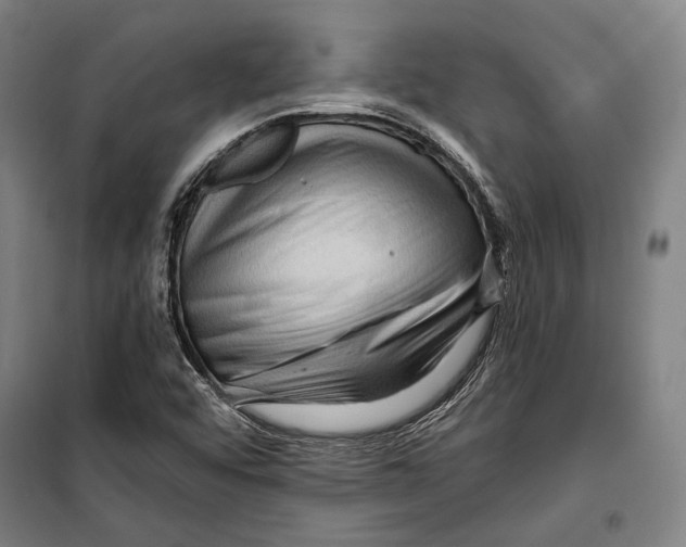 X0000099501456200806121404