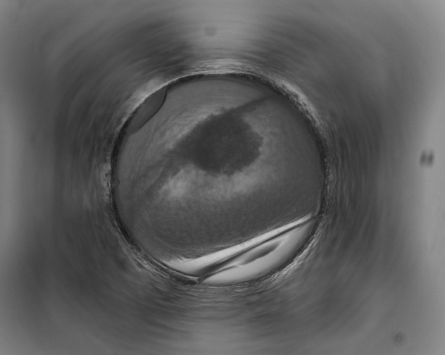 X0000099501457200806121404