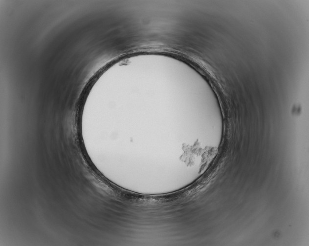 X0000099501458200806121404