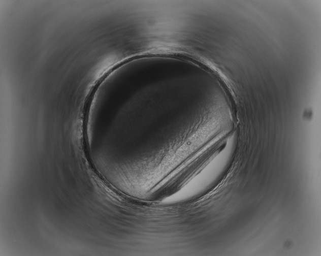 X0000099501459200806121404