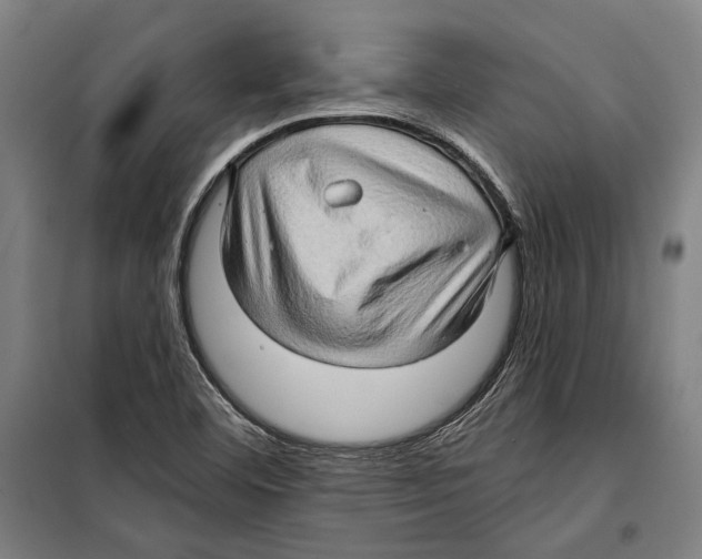 X0000099501460200806121404