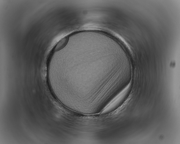 X0000099501461200806121404