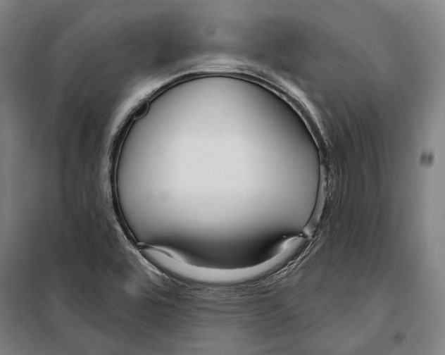 X0000099501464200806121404