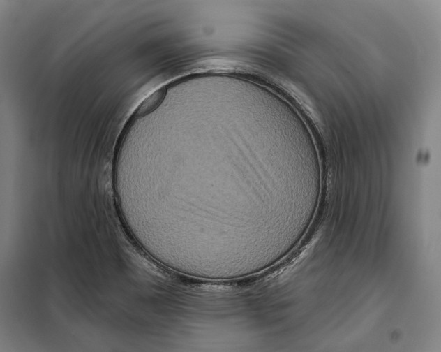 X0000099501465200806121404