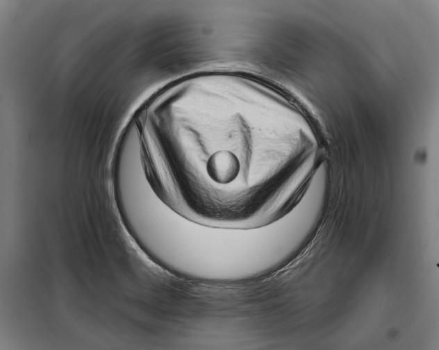 X0000099501468200806121404