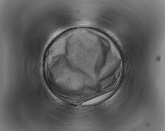 X0000099501469200806121404