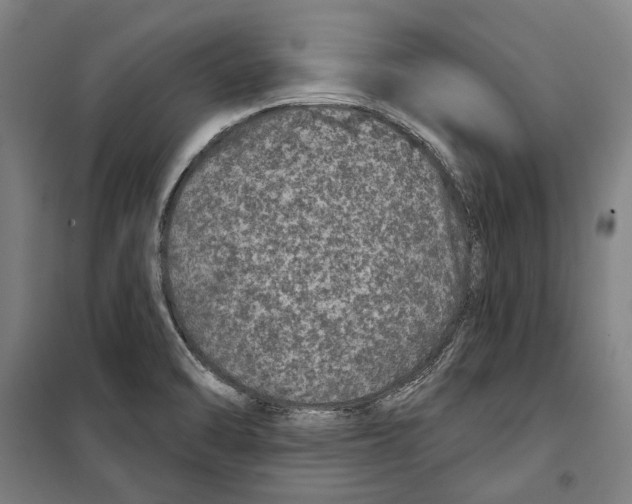 X0000099501470200806121404