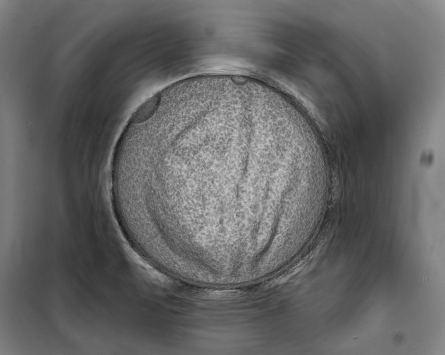 X0000099501471200806121404