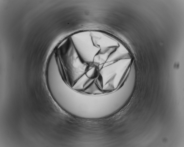 X0000099501472200806121404