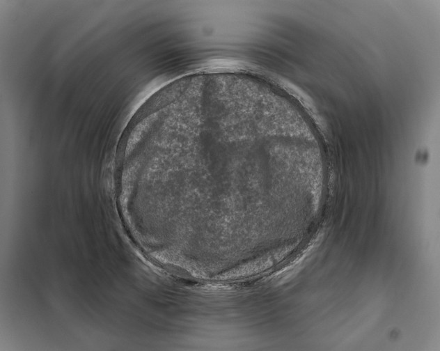 X0000099501473200806121404