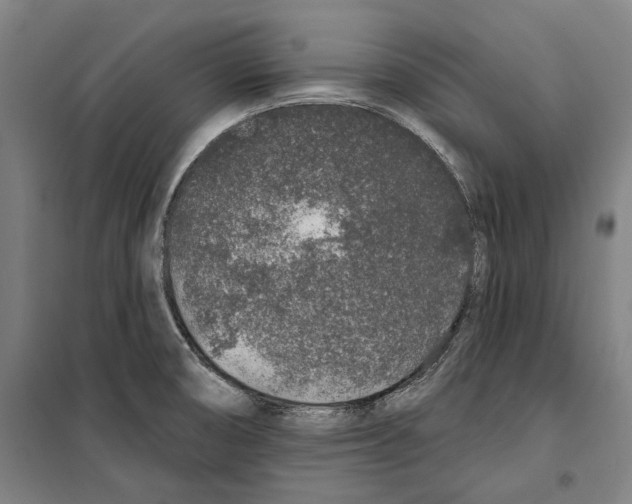 X0000099501474200806121404