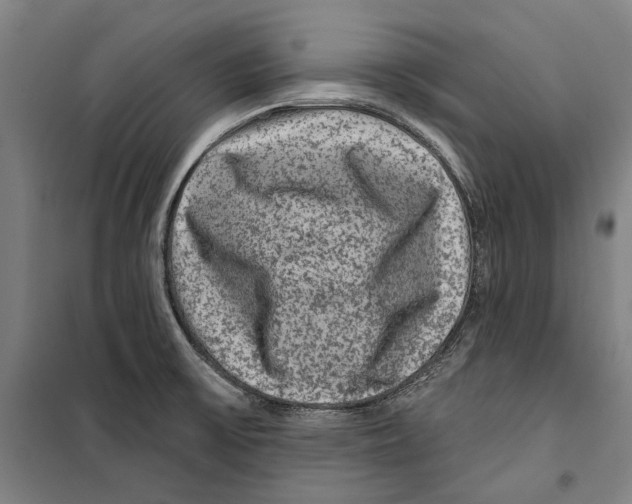 X0000099501475200806121404