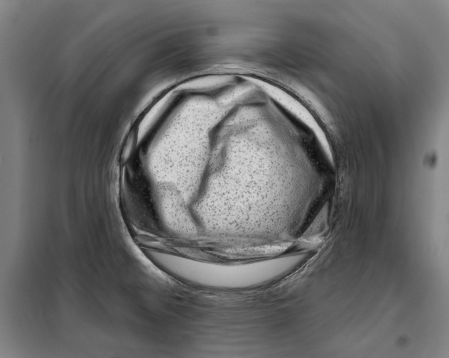 X0000099501476200806121404