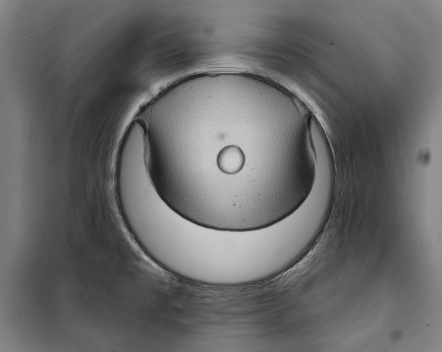 X0000099501477200806121404