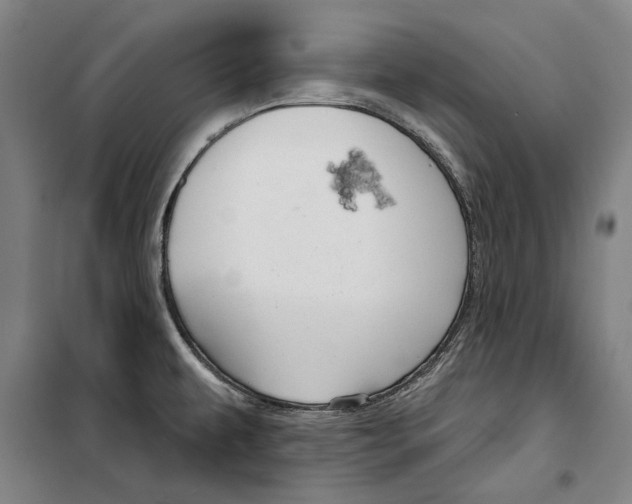 X0000099501479200806121404