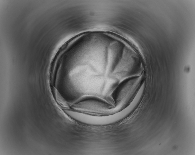 X0000099501480200806121404