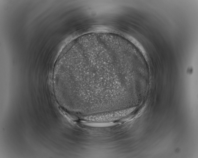 X0000099501481200806121404